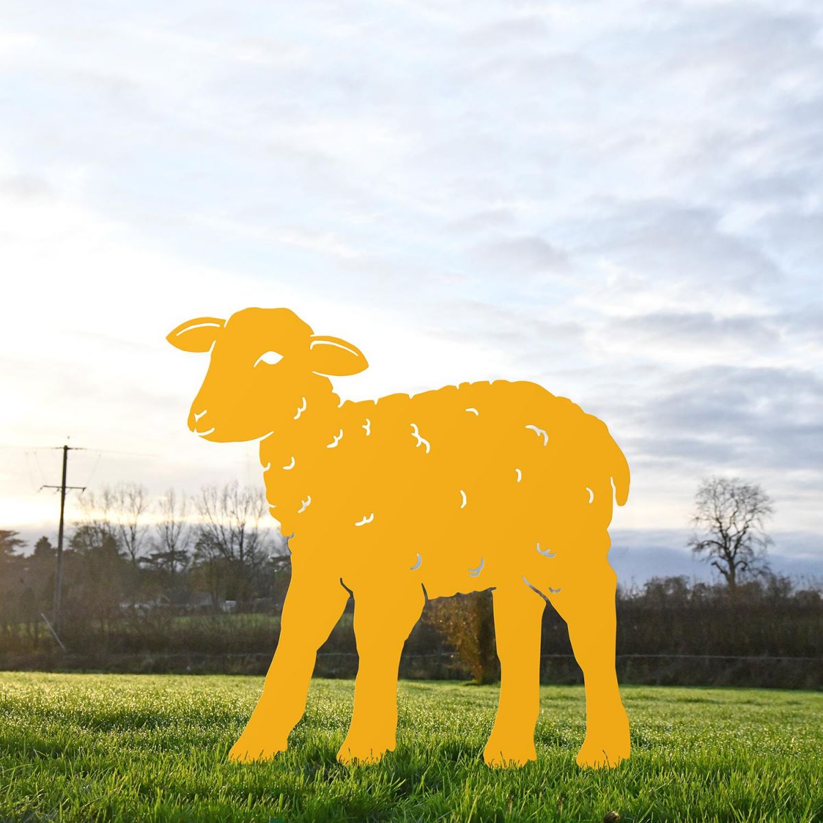 Curly Lamb Silhouette in Yellow 
