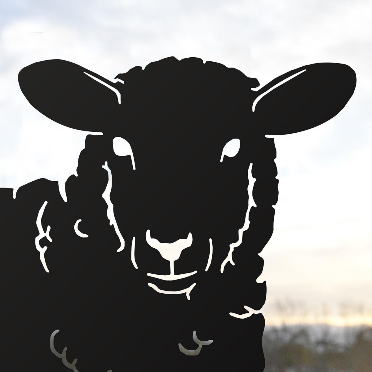 Close-up of the Head of the Curly Sheep Silhouette