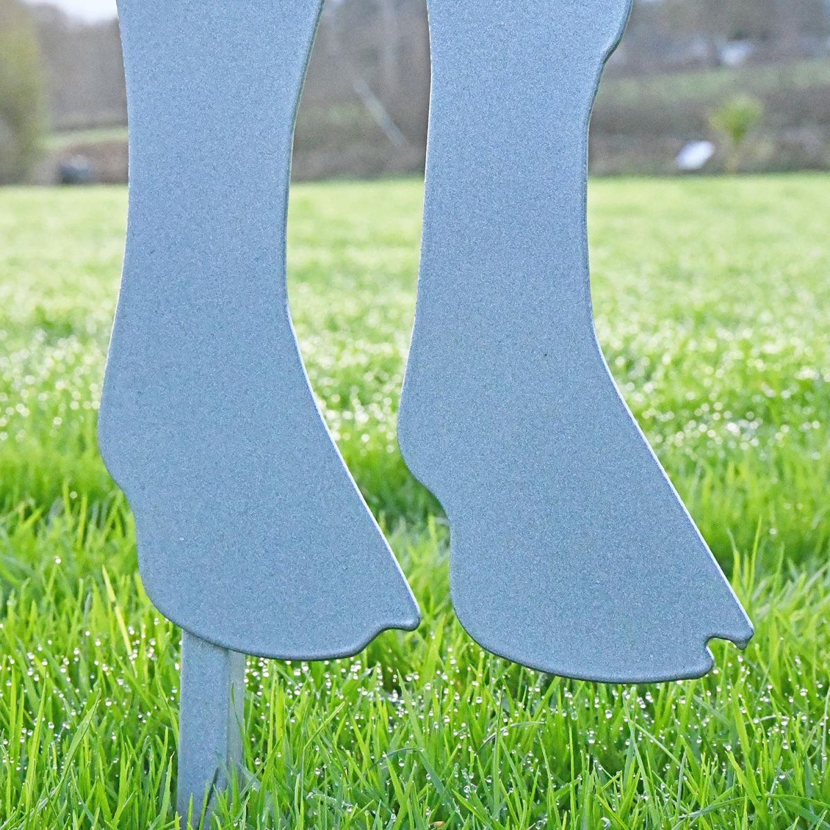 Close-up of the Feet on the Curly Sheep Silhouette