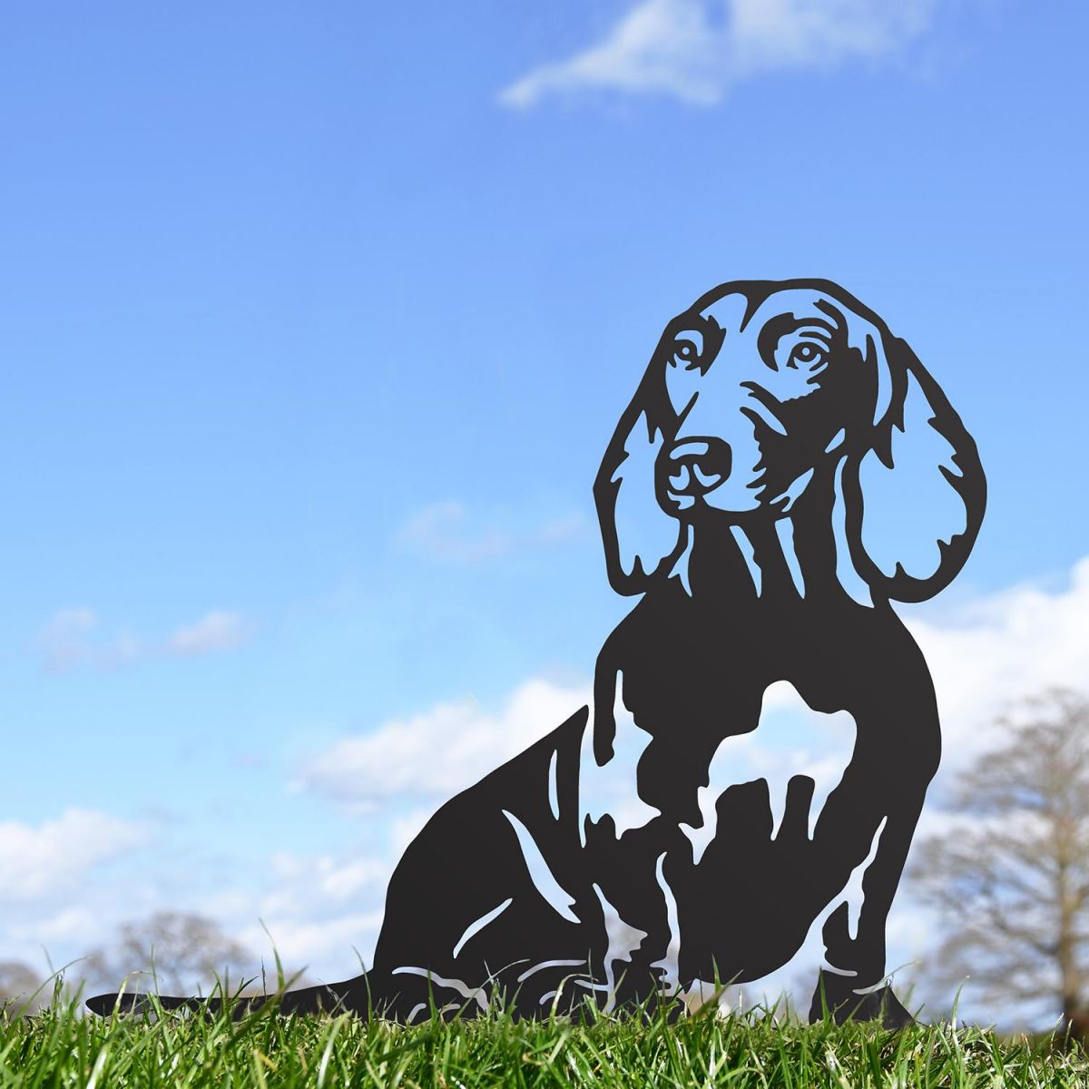 Dachshund Silhouette in Situ in a Field Dachshund Silhouette in Situ in a Field