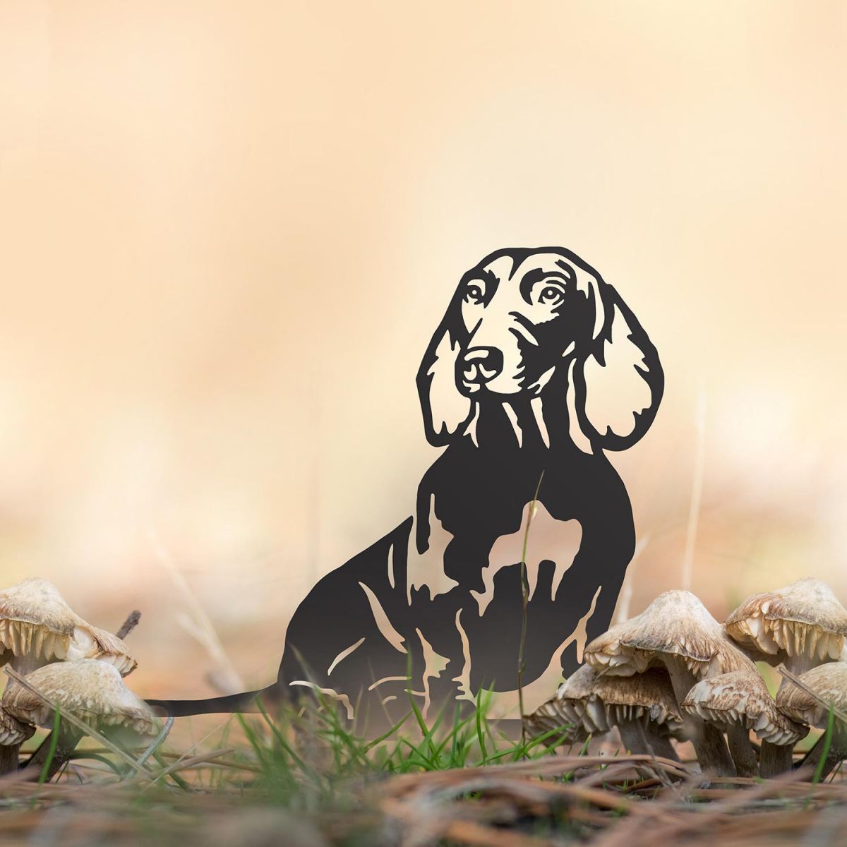 Dachshund Silhouette in Use Outdoors Dachshund Silhouette in Use Outdoors