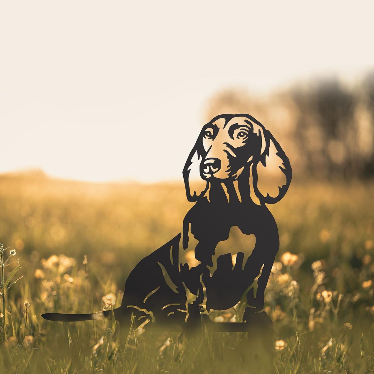 Dachshund Silhouette in Situ in a Field Dachshund Silhouette in Situ in a Field