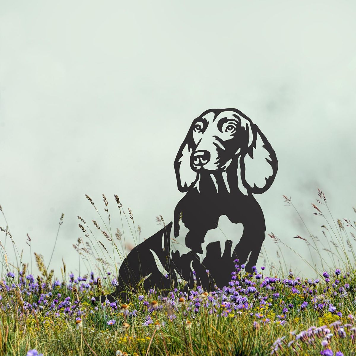 Dachshund Silhouette on Display in the Flowers Dachshund Silhouette on Display in the Flowers
