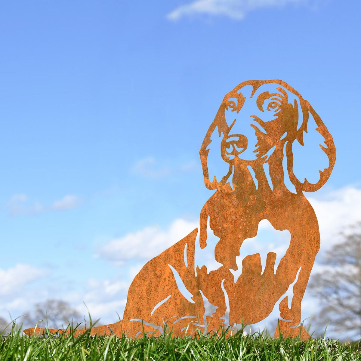 Dachshund Silhouette in Use Outdoors