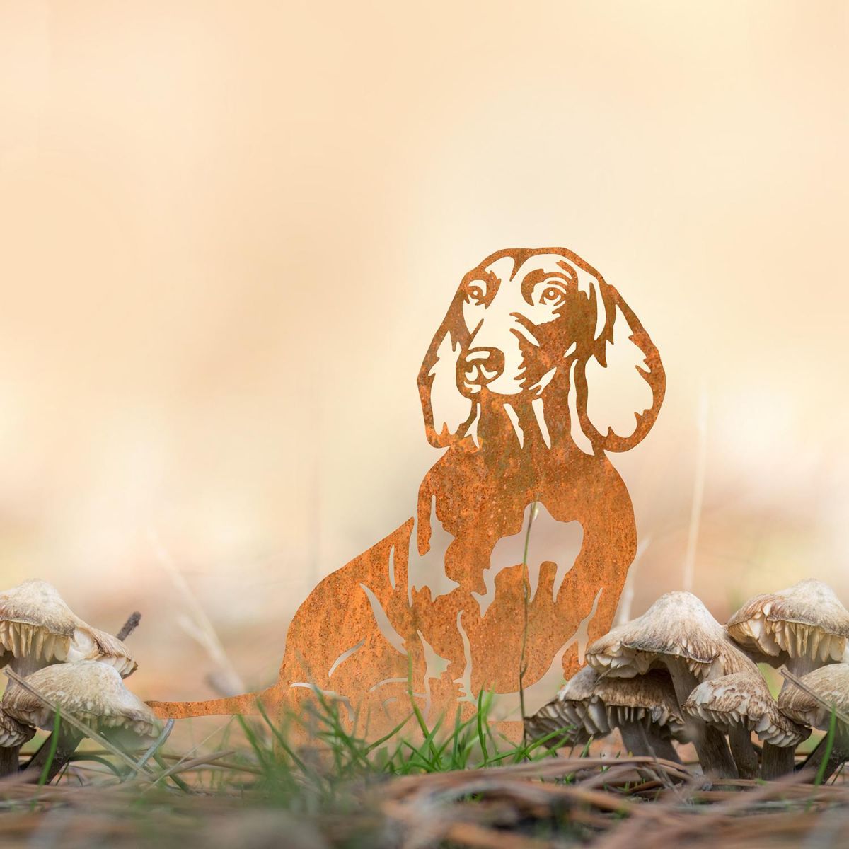 Dachshund Silhouette in Situ