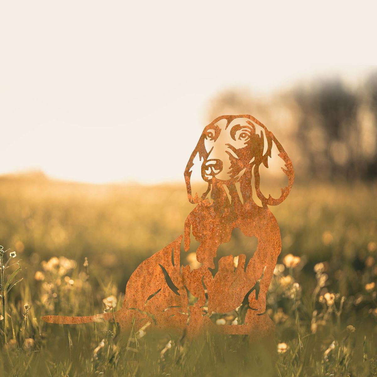 Dachshund Silhouette in Situ in a Field