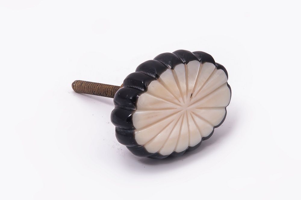 Shell Design Cabinet Knob Shell Design Cabinet Knob