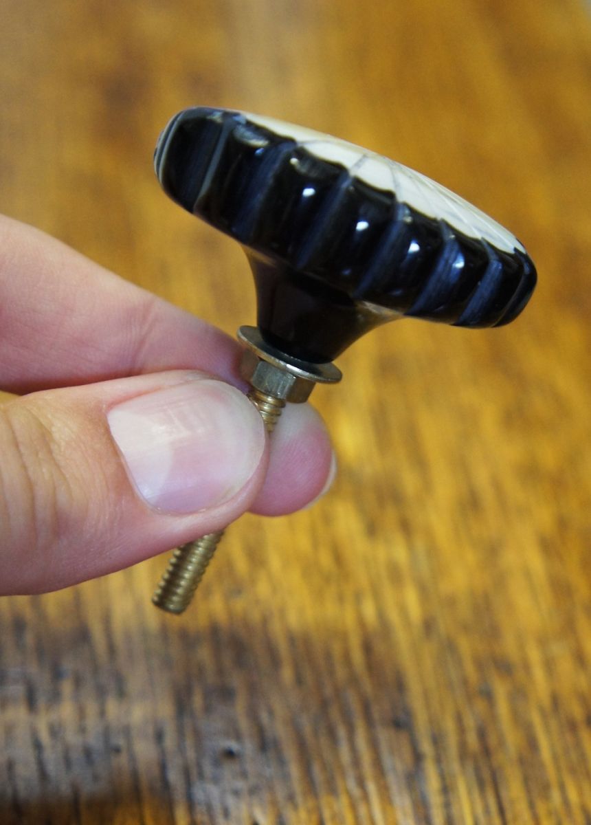 Shell Design Cabinet Knob Shell Design Cabinet Knob