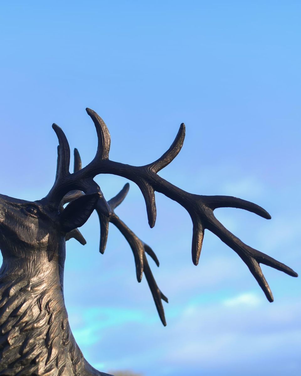 Close-Up of Antlers on Deluxe Antique Bronze "Goliath" Stag Garden Sculpture - Looking Forward