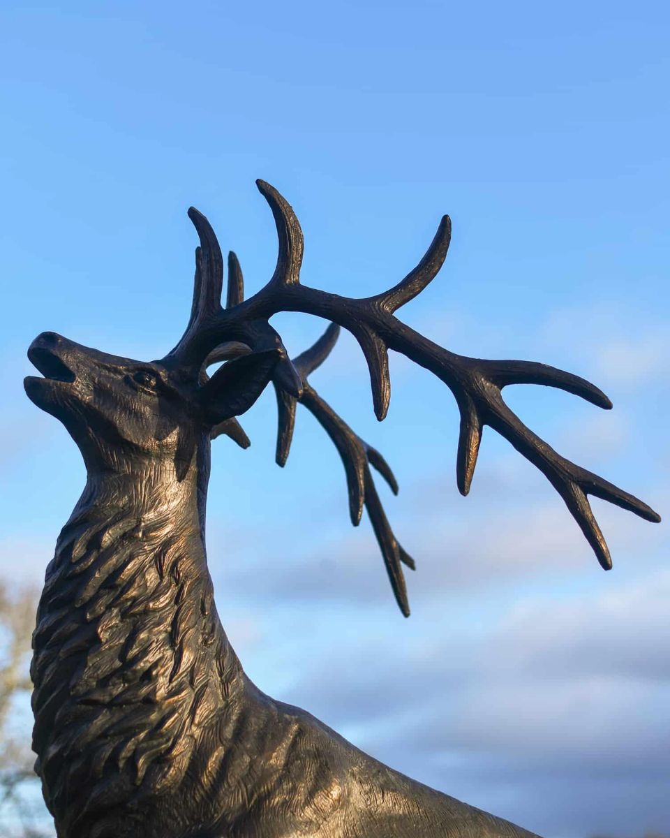 Close-Up of Deluxe Antique Bronze "Goliath" Stag Garden Sculpture - Looking Forward