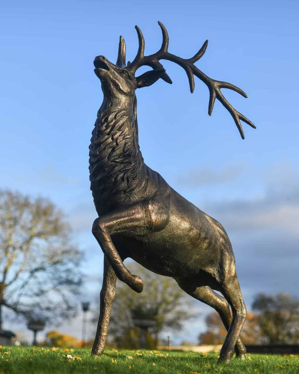 Situ Shot of Deluxe Antique Bronze "Goliath" Stag Garden Sculpture - Looking Forward
