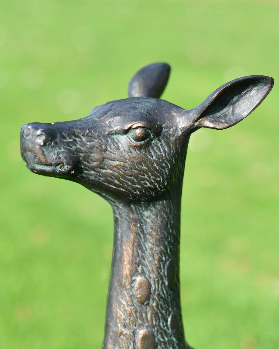Close-Up of Deluxe Cast Aluminium Freestanding "Fallow" Doe Garden Sculpture Close-Up of Deluxe Cast Aluminium Freestanding "Fallow" Doe Garden Sculpture