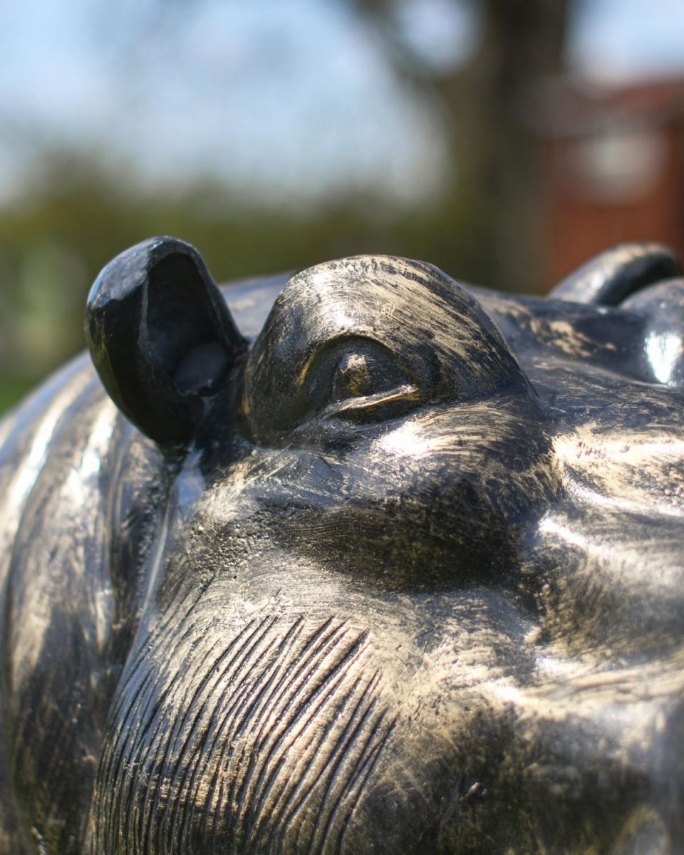 Close-Up of Eyes on Hippo Garden Sculpture