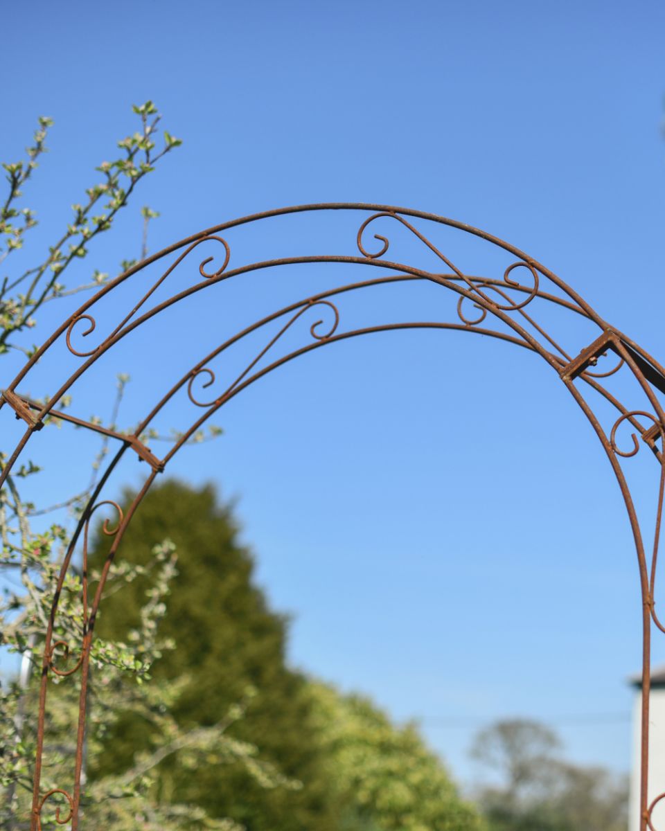 Top Of The Rustic Rose Arch 