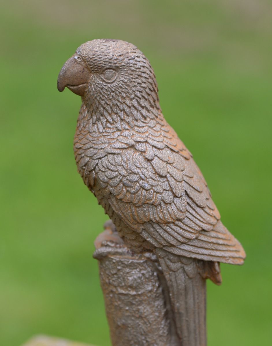Close Up of Rustic Parrot Sculpture