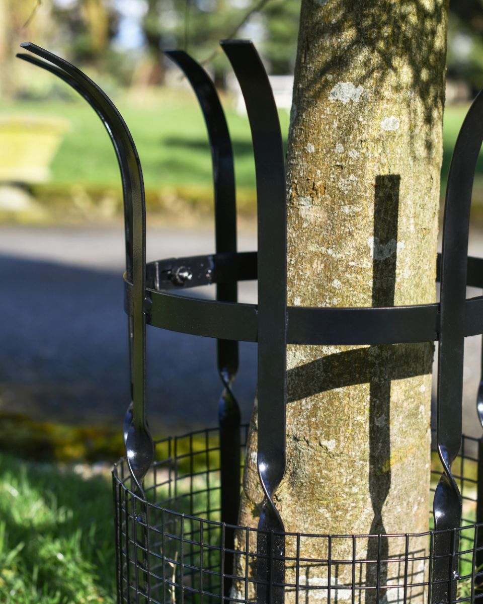 Close Up Of The Beeston Tree Guard In Black