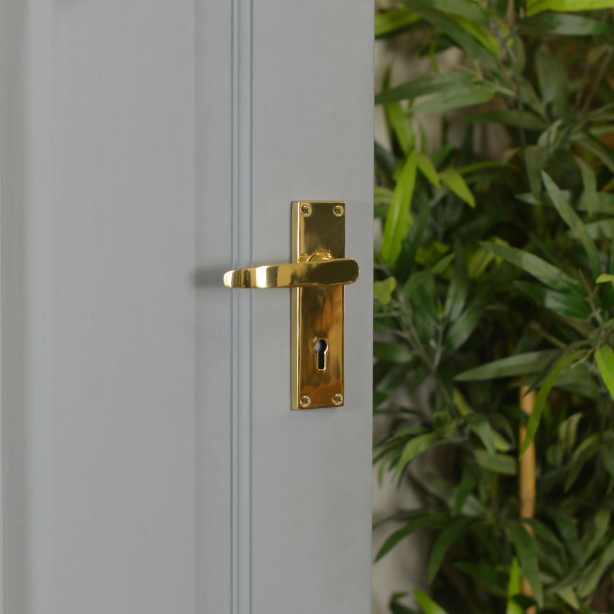Polished Brass Lever Handle With Key Hole Beside Plants