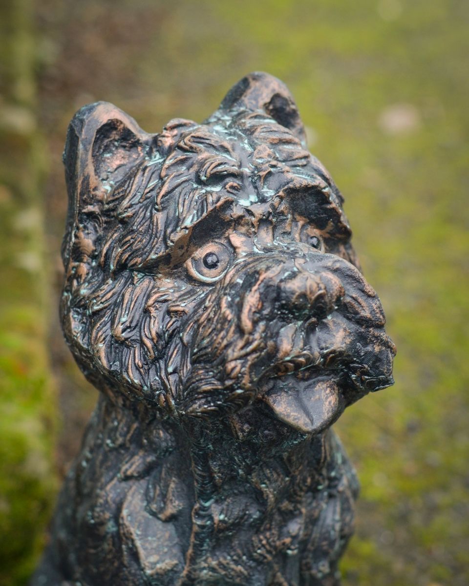 Digital illustration of ‘Baxter’ the Yorkshire Terrier Garden Sculpture in Cast Aluminium - Verdigris close up of head