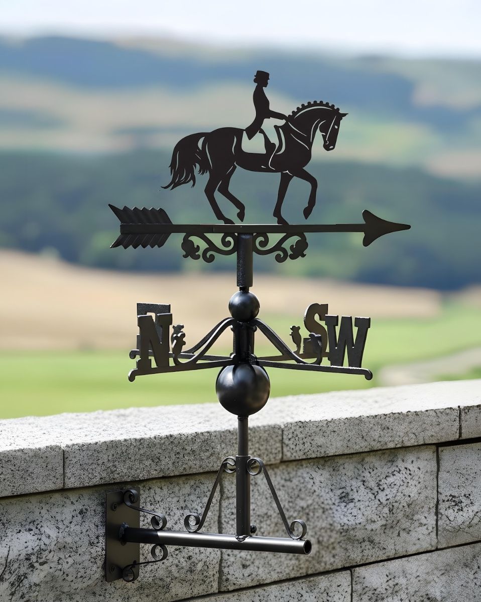 Digital illustration of Dressage Horse Weathervane mounted on a wall