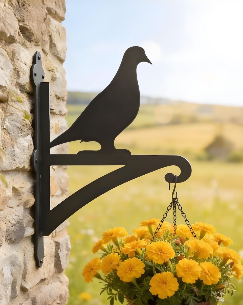 Digital illustration of Pigeon Hanging Iron Basket Bracket mounted on a farm house