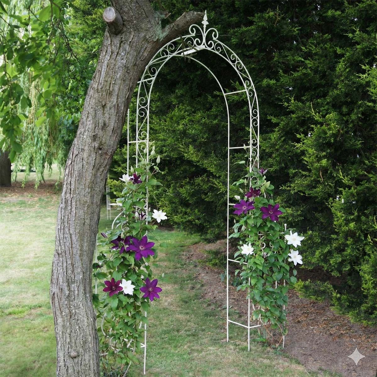 Digital Illustration of the ’Geraldine’ Rose Arch with Flowers