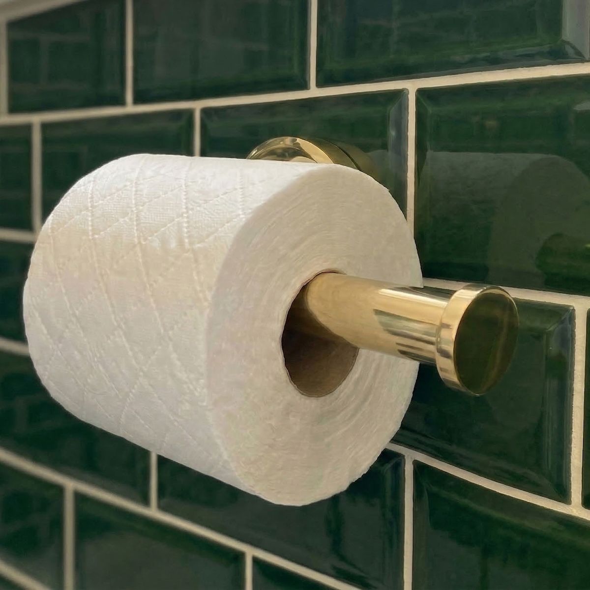 Digital Illustration of the Brass Version of the Toilet Roll Holder Button End With a Toilet Roll Seen Close up