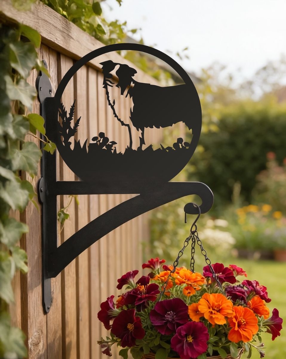 Digital Illustration of the Border Collie Iron Hanging Basket Bracket Mounted on a Wooden Fence