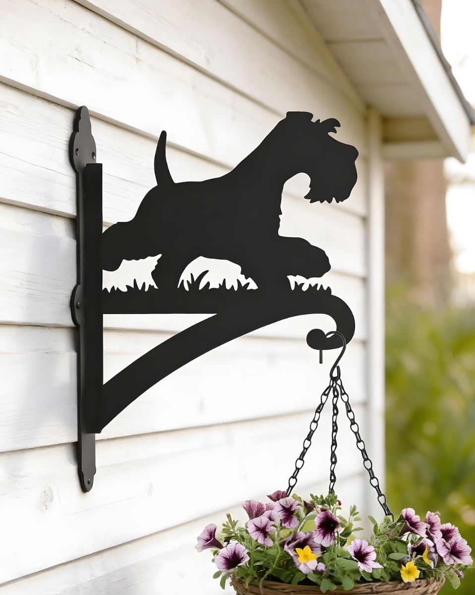 Digital representation of Steel Running Miniature Schnauzer Hanging Basket Bracket mounted on rear of garden shed