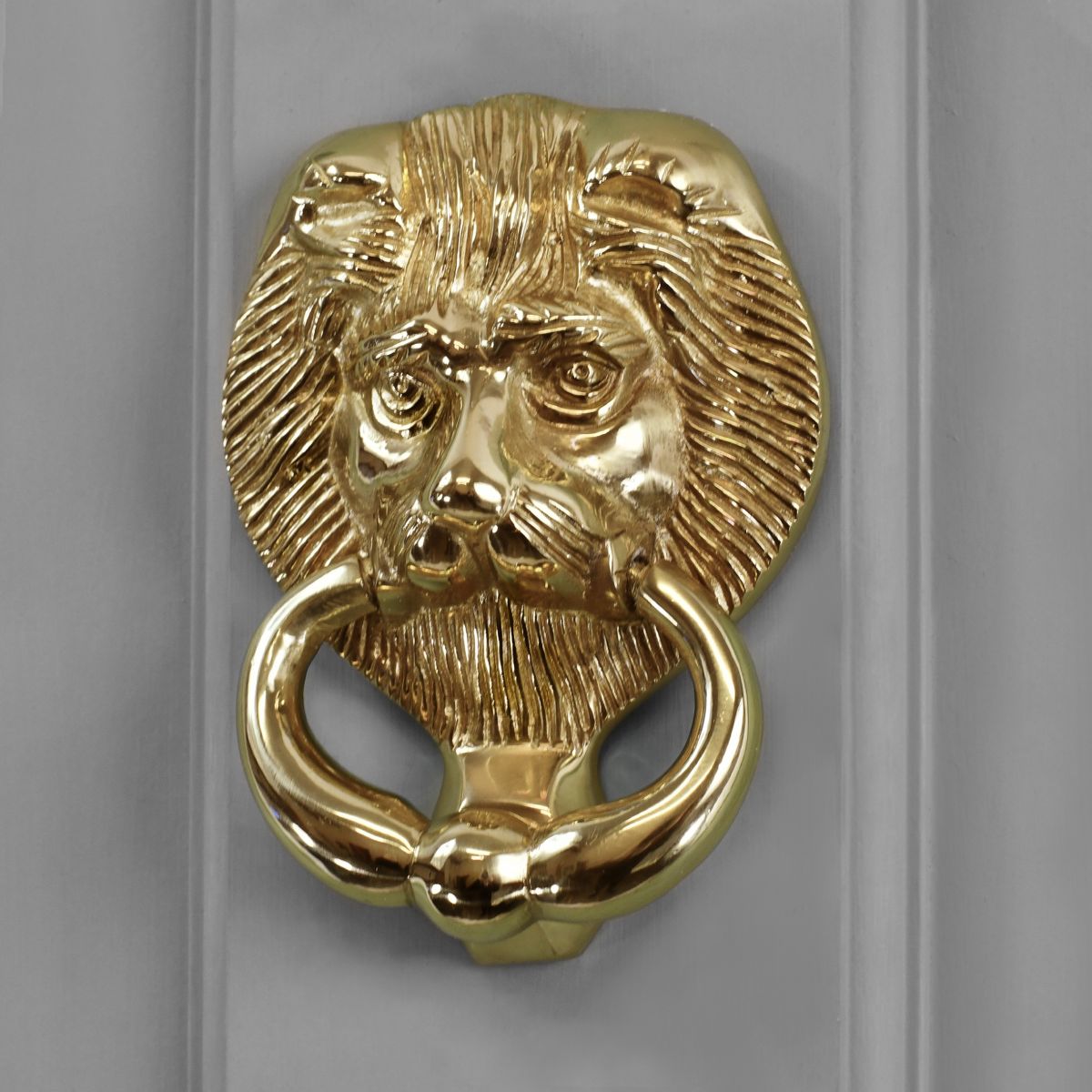 Polished Brass Dorchester Lion door knocker on grey door Polished Brass Dorchester Lion door knocker on grey door