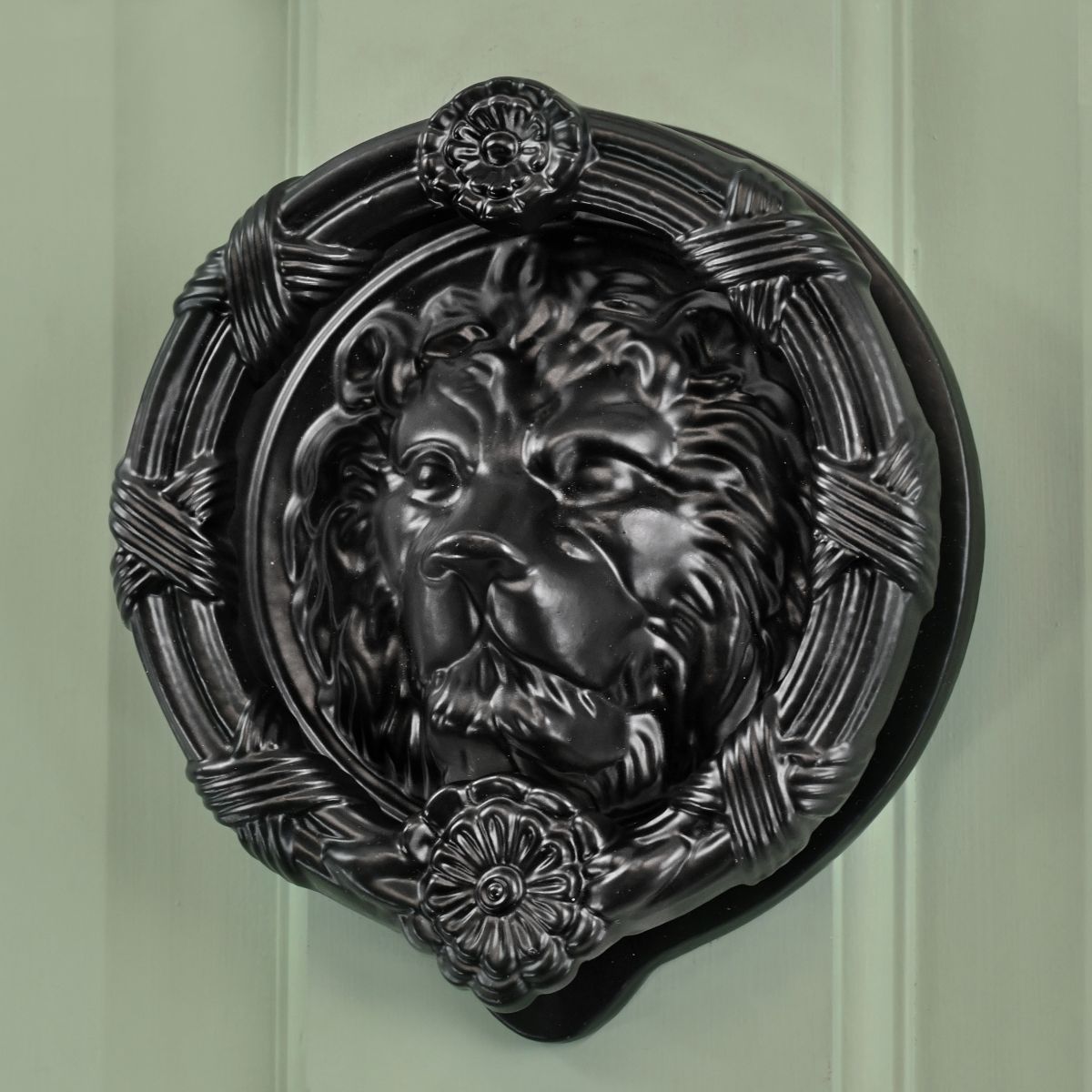Black circle Lion door knocker on pastel door