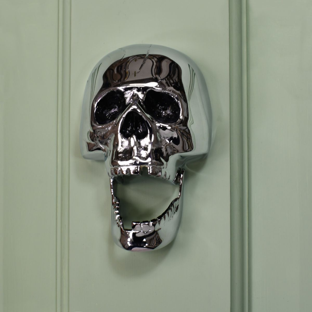 Bright Chrome Skull Door Knocker on pale green door
