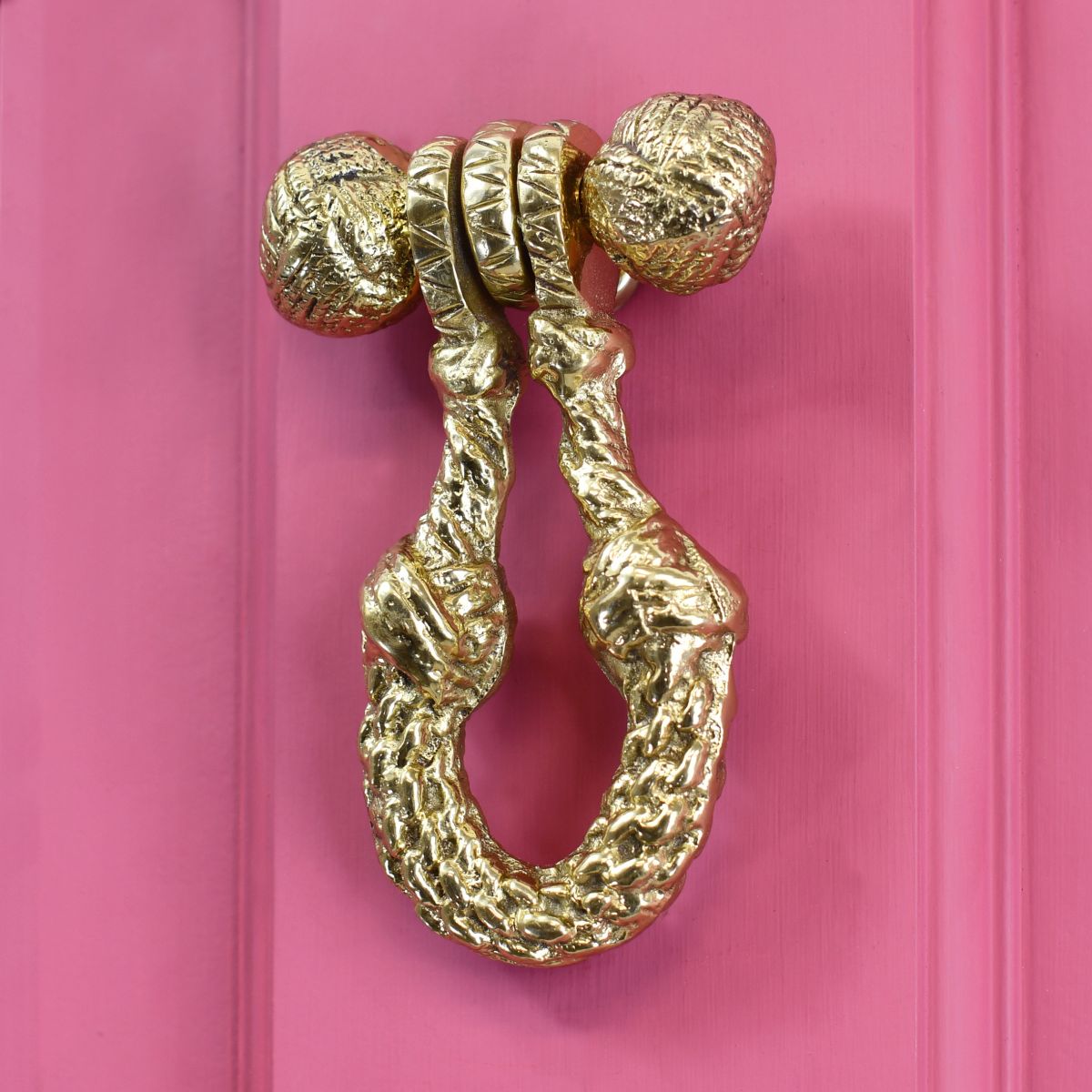 Polished Brass Rope Design Door Knocker on pink door