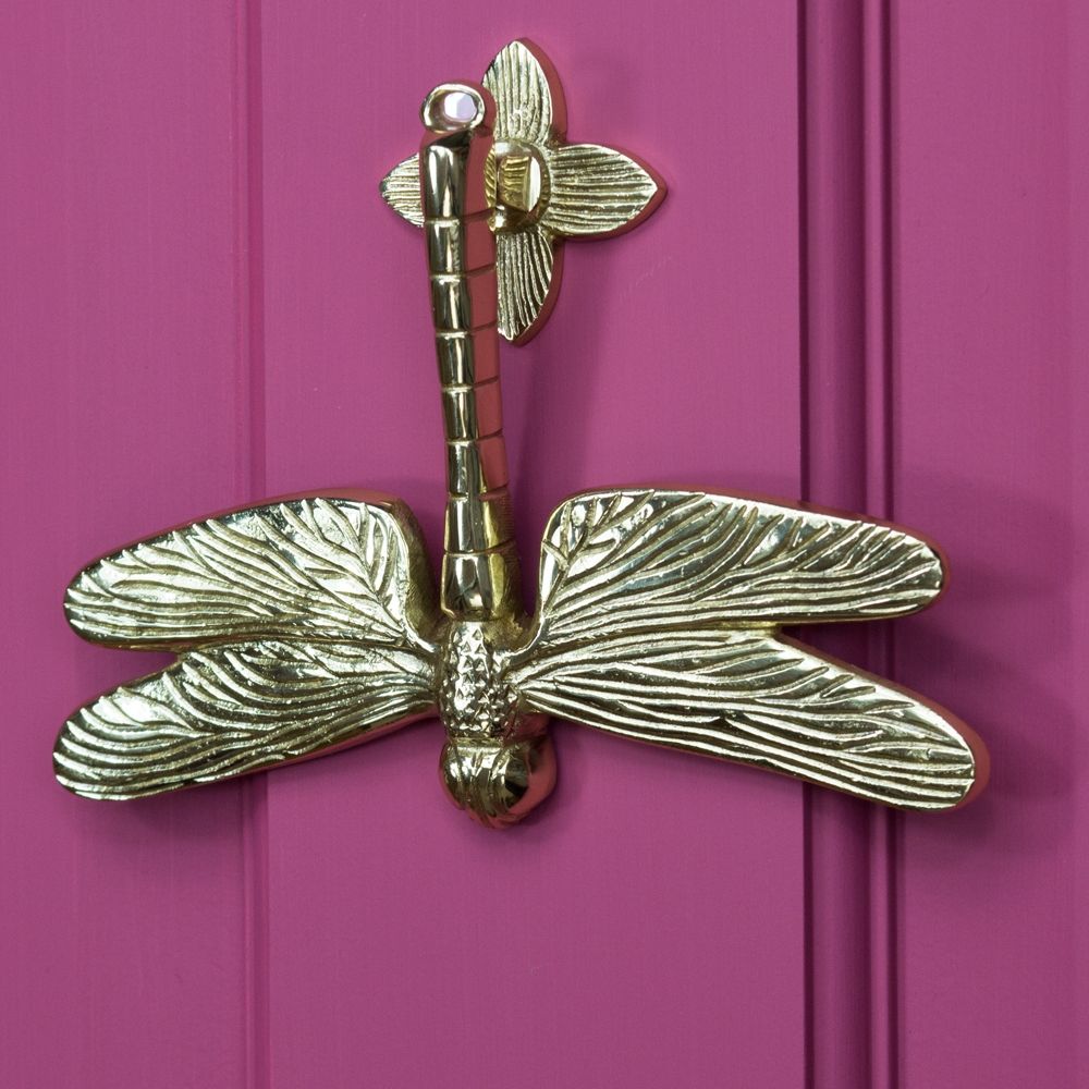 Dragon fly door knocker mounted on pink door