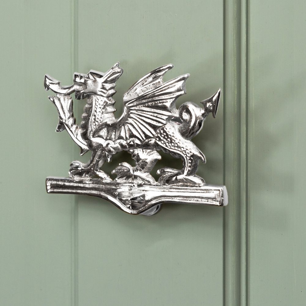 Bright Chrome Dragon door knocker on green door
