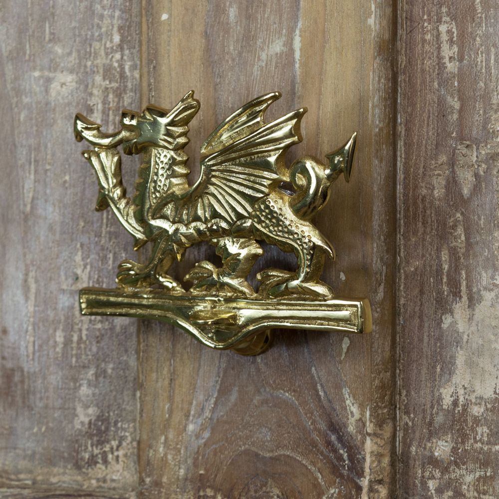 Polished Brass Dragon Door Knocker