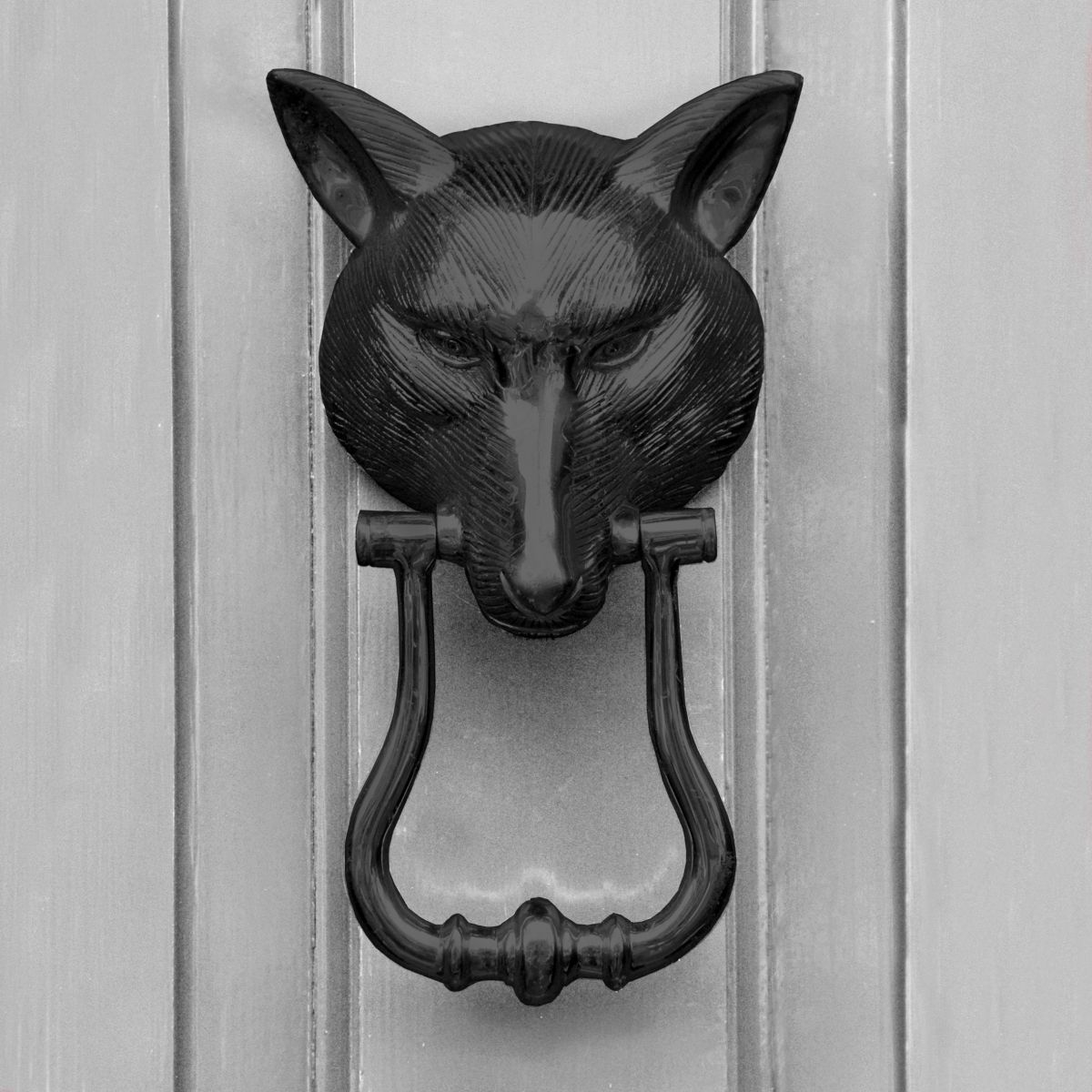 Black Fox head door knocker on Grey door