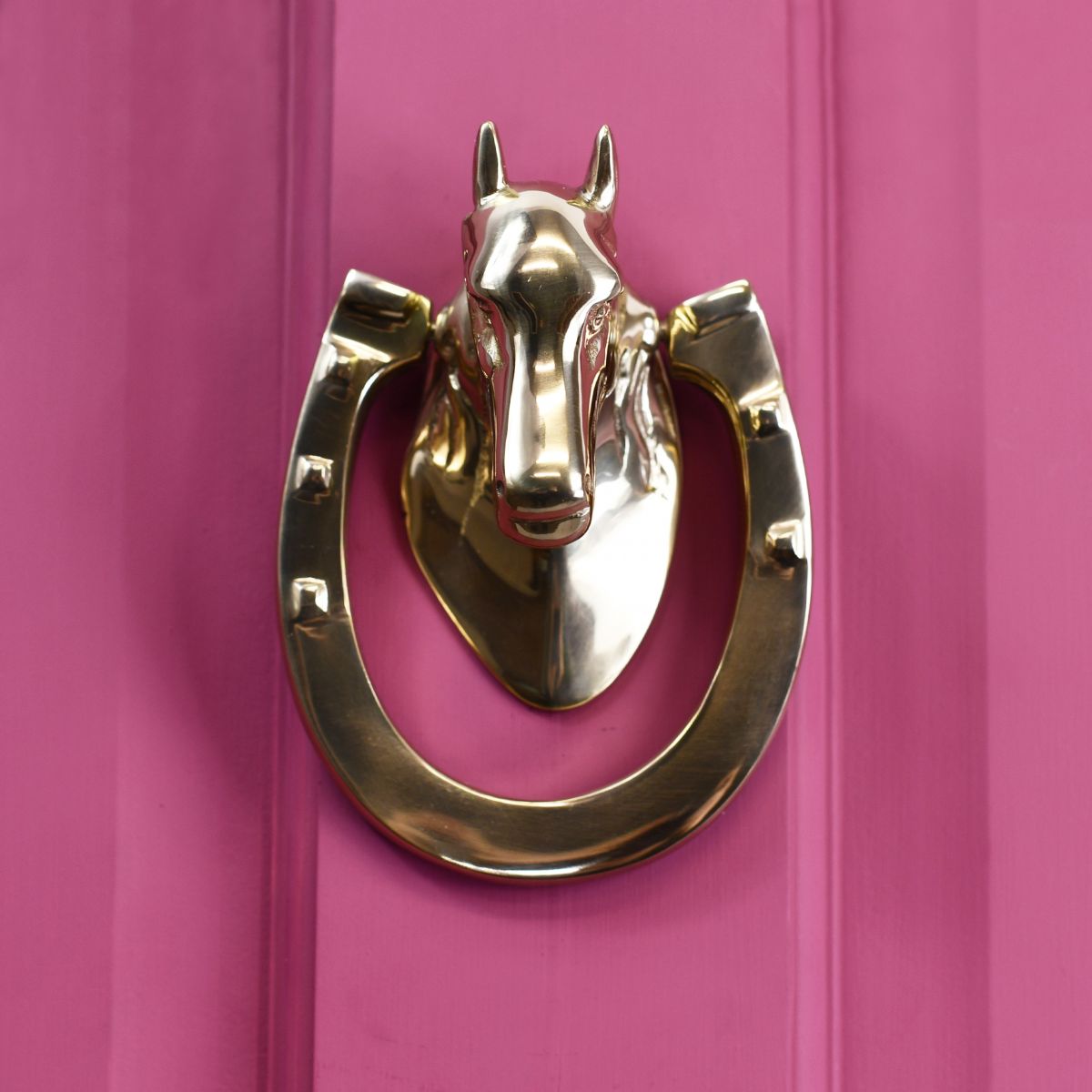 Equestrian door knocker on pink door