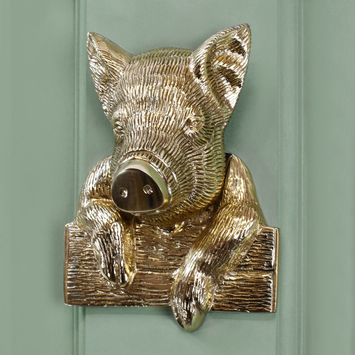 Polished Brass Pig door knocker on green door