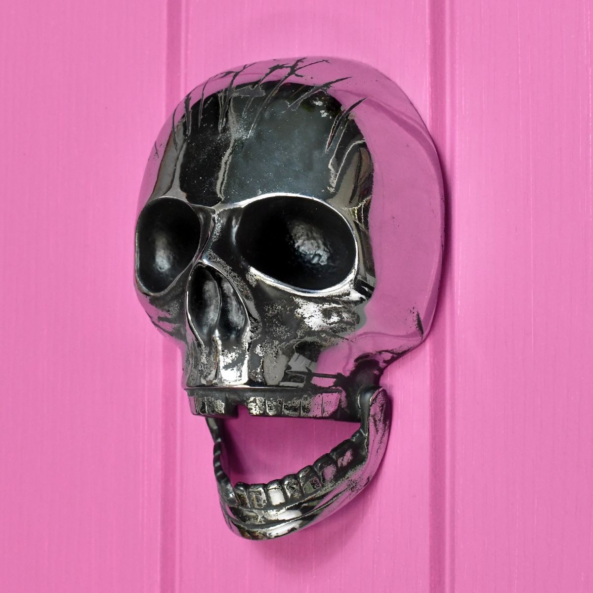 Chrome skull door knocker on pink door