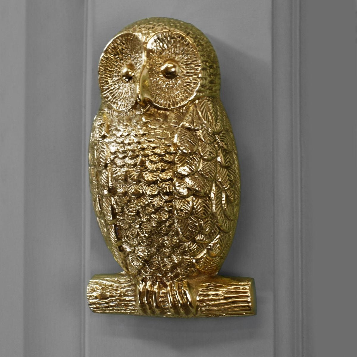 Polished Brass Owl Door knocker on Grey door Polished Brass Owl Door knocker on Grey door