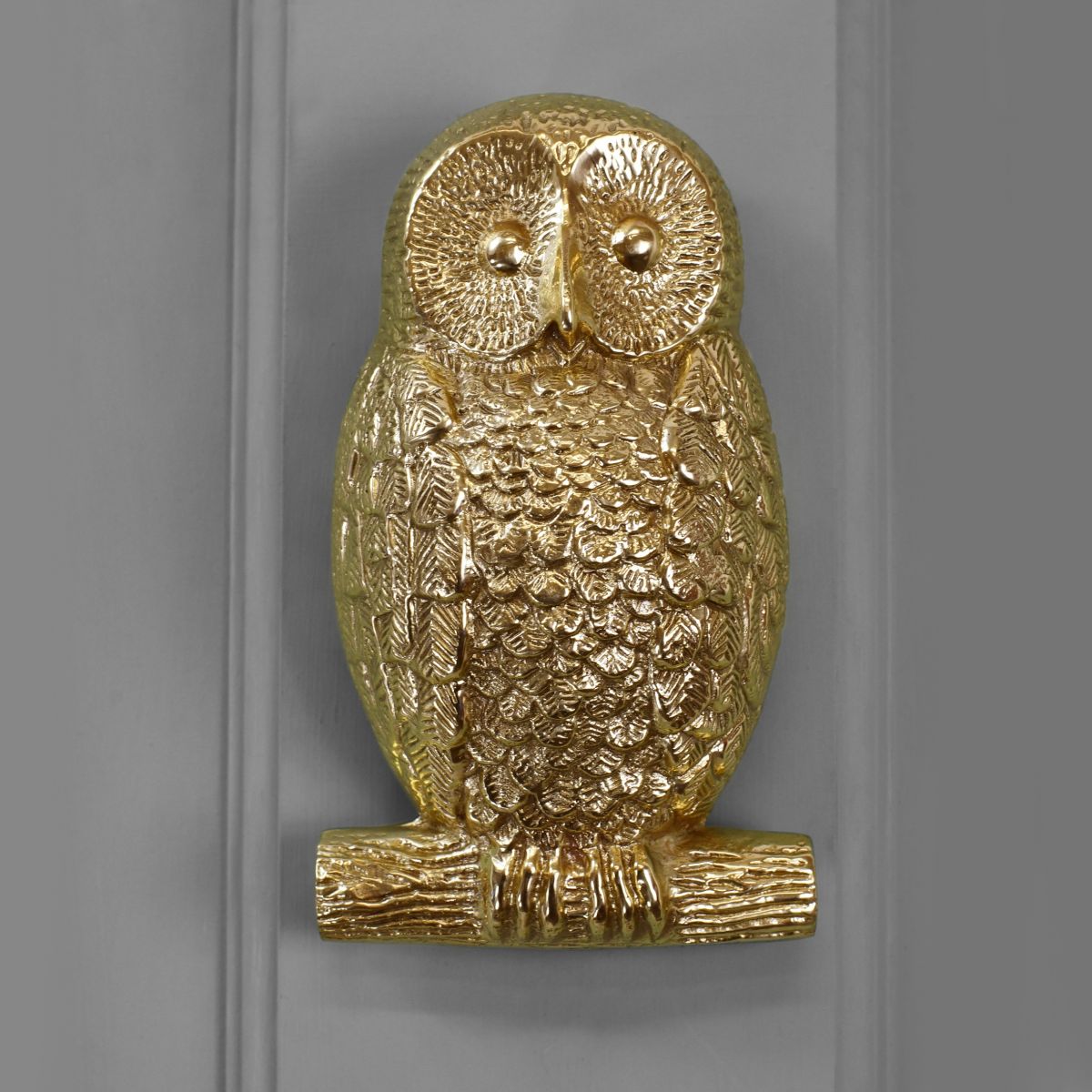 Polished Brass Owl Door knocker on Grey door Polished Brass Owl Door knocker on Grey door