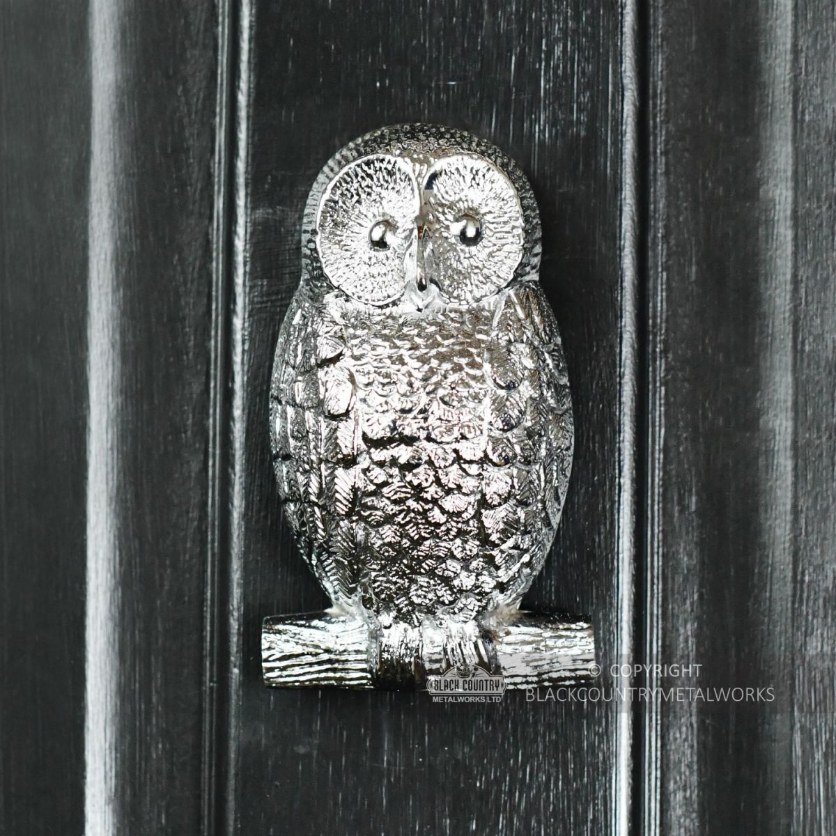 Bright Chrome Owl Door Knocker in Situ on a Black Door
