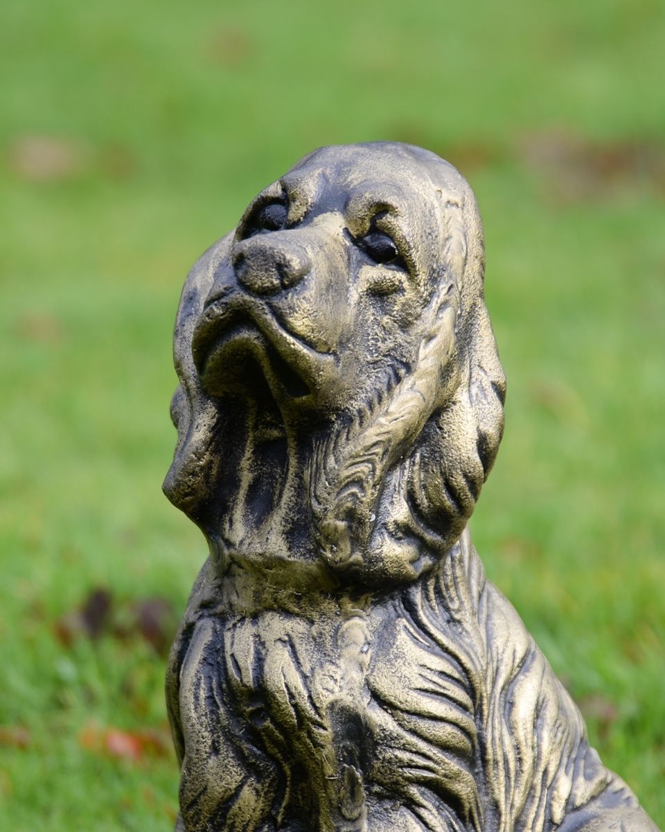 Brushed Gold Spaniel Dog garden Sculpture close up of head