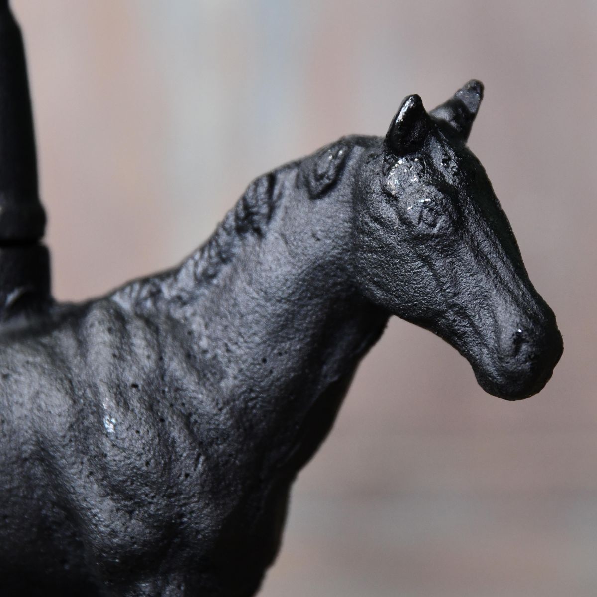 Close up of horse head  Close up of horse head