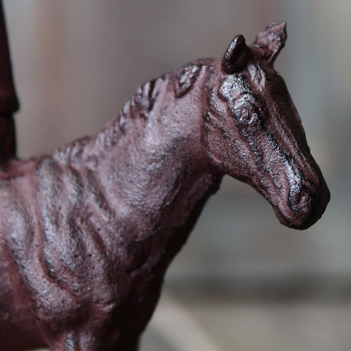 Close up of horse head  Close up of horse head