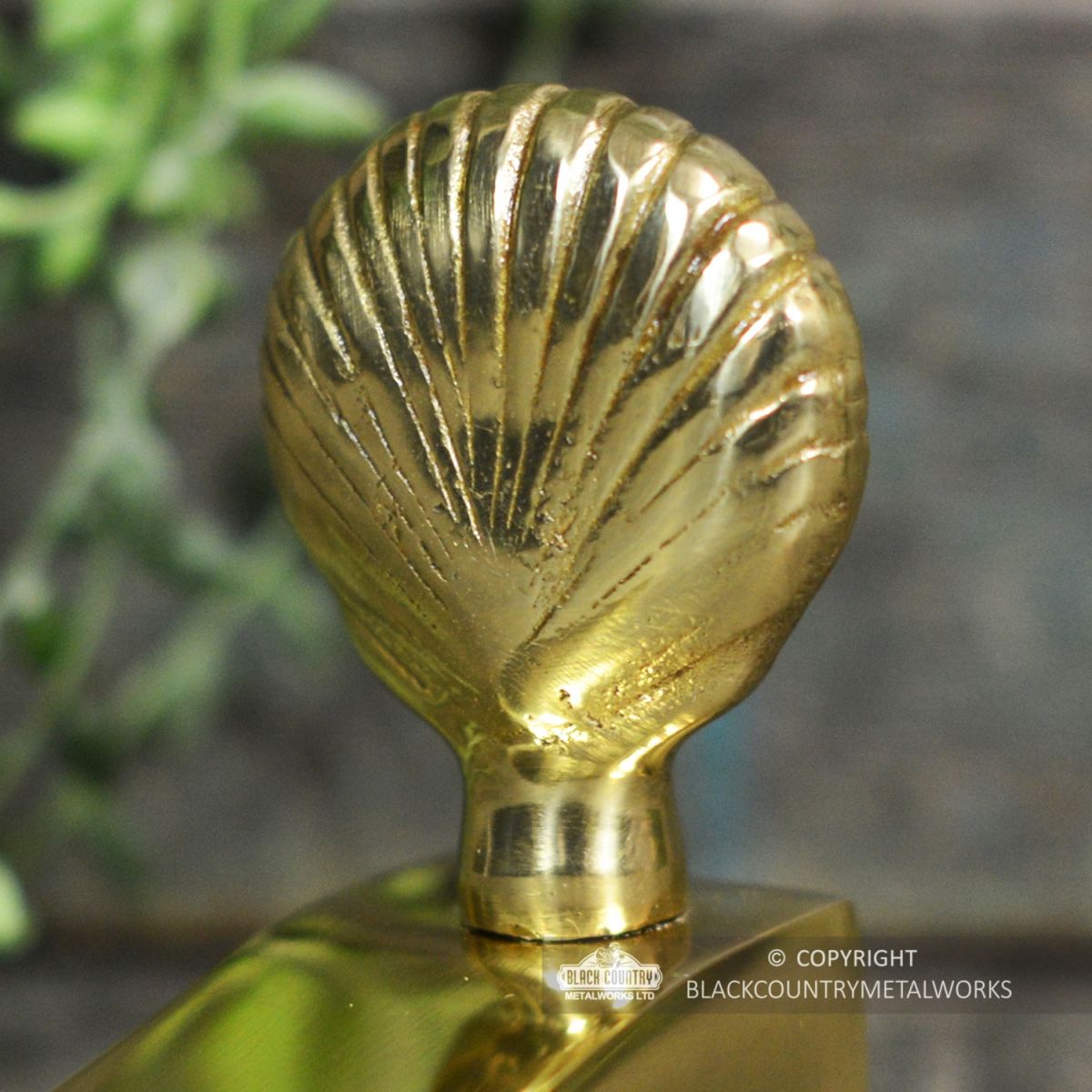 Close-up of the Polished Brass Shell Design