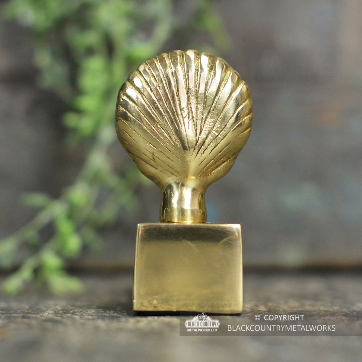 Back view of the Shell Design Door Wedge