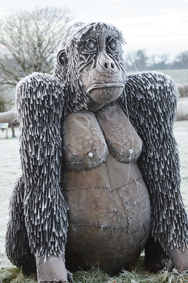 “Lady Thombury” Cross River Gorilla Garden Sculpture “Lady Thombury” Cross River Gorilla Garden Sculpture