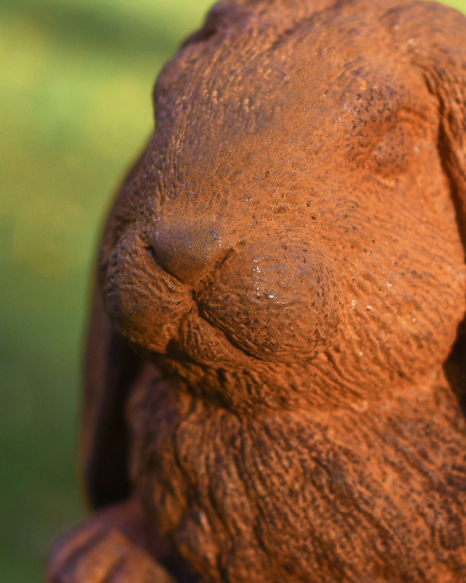 Close up Of Rabbit Garden Sculpture  Close up Of Rabbit Garden Sculpture