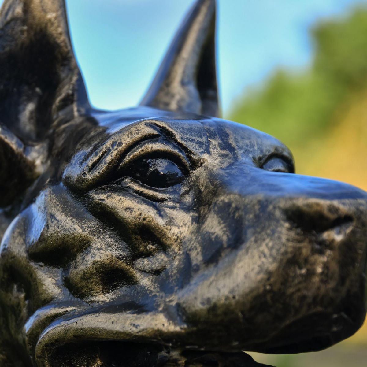 Close-Up on Face Detailing Close-Up on Face Detailing